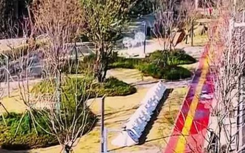 【湖北日报】政府当“合伙人”促进科技成果转化 珞瑜硅巷改造即将启航