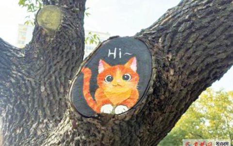 十堰街头惊现“树洞萌宠” 熊猫猫咪松鼠太萌了