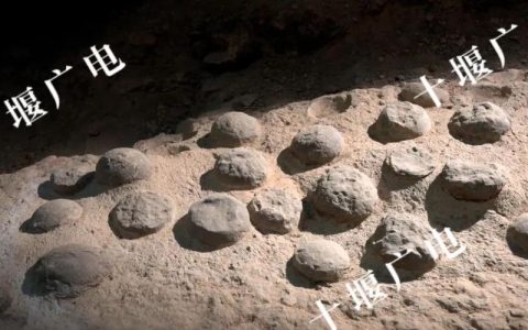 “2025年全球十大恐龙发现”！十堰青龙山入选