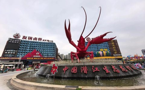 “红”动天下——“潜江龙虾”产业的全球化突围征程