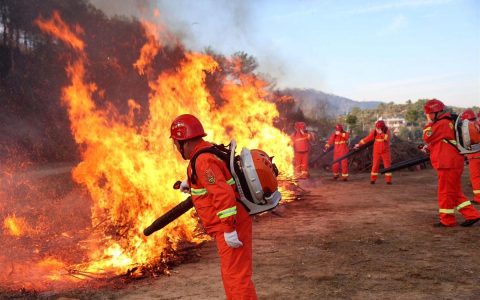 麻城组织本土网红创作森林防火短视频