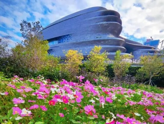 在格桑花海中仰望“宇宙飞船”：科技与田园的诗意交融