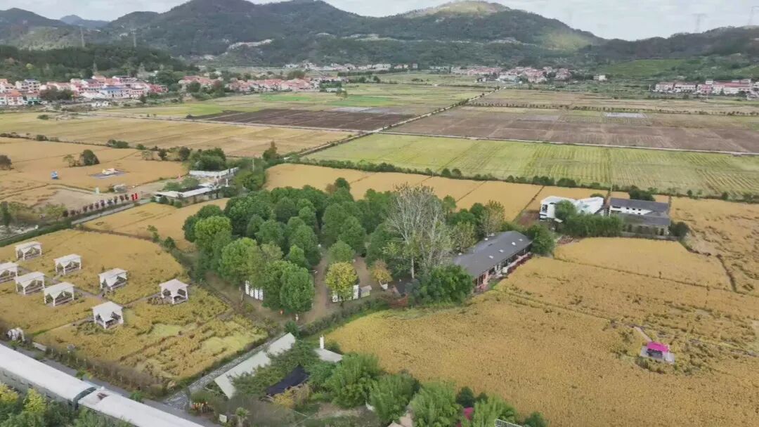 【非凡“十四五”·聚力建支点】阡陌织锦 沃野生金