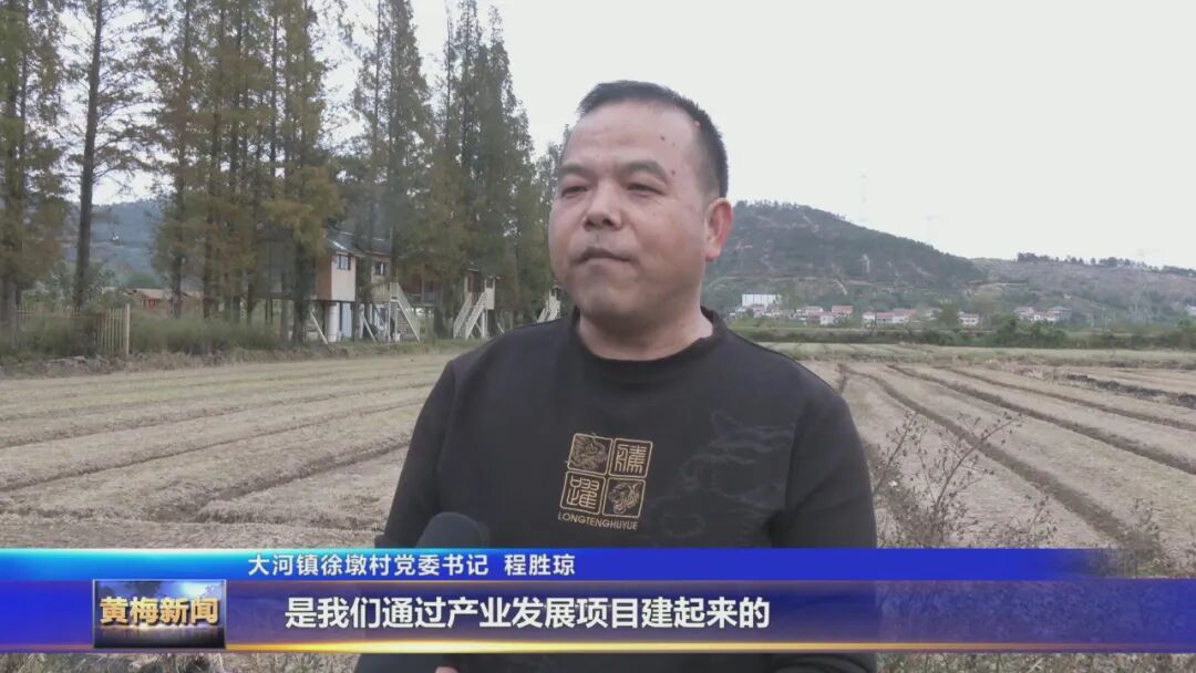 【非凡“十四五”·聚力建支点】阡陌织锦 沃野生金