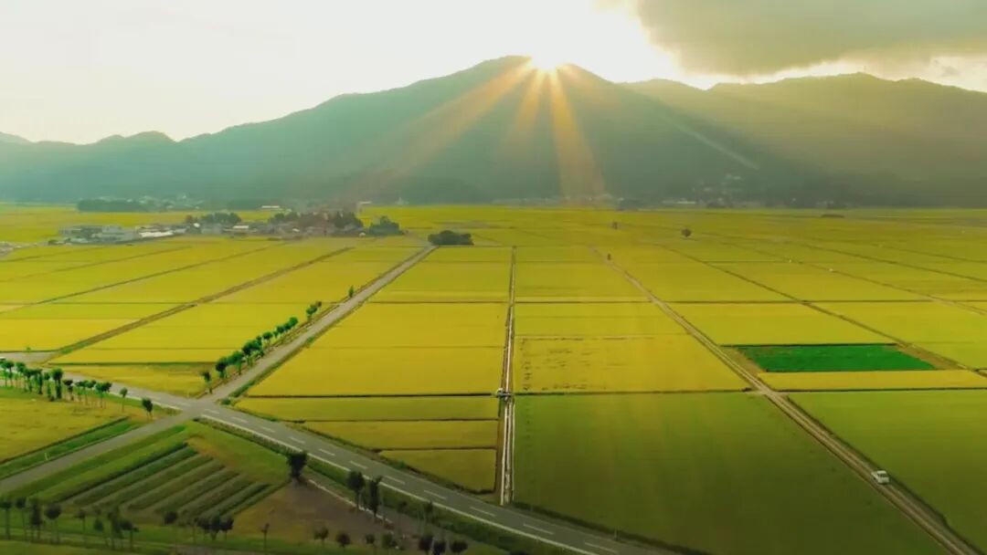 【非凡“十四五”·聚力建支点】阡陌织锦 沃野生金