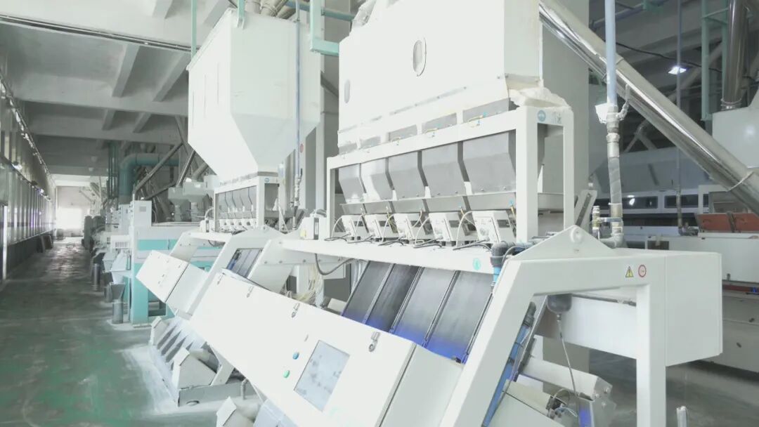 【非凡“十四五”·聚力建支点】阡陌织锦 沃野生金