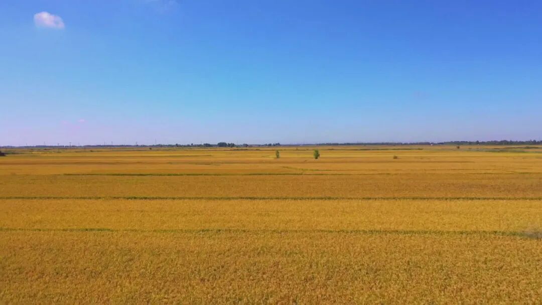 【非凡“十四五”·聚力建支点】阡陌织锦 沃野生金
