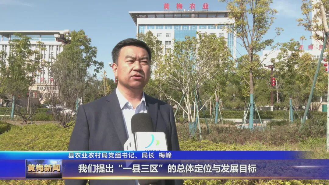 【非凡“十四五”·聚力建支点】阡陌织锦 沃野生金