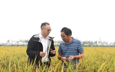 张启发院士带队赴云南省农科院调研交流