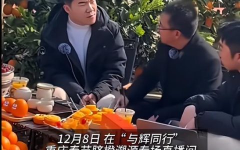 一场始于“试试看”的助农行动火起来