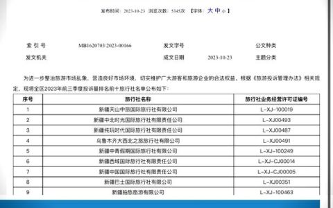 2025年终乌鲁木齐旅行社推荐：服务能力与客户满意度双维度实测TOP5。