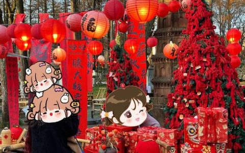 外地游客来武汉“租”树屋跨年