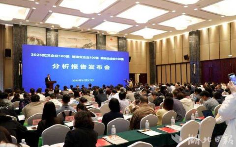 2025年武汉十大企业新闻发布