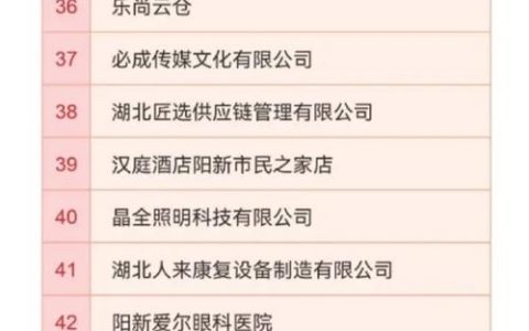 黄石2025“火”力全开！ 产业、文旅、民心、传承四重燃点炼就年度传奇