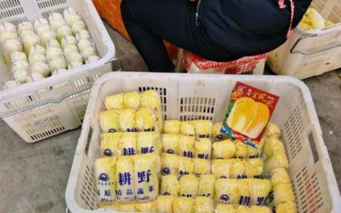 小娃娃菜铺就振兴路