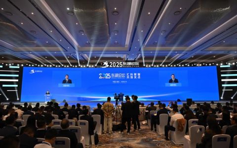 国际青年学者“东湖论坛”集成电路分论坛落幕