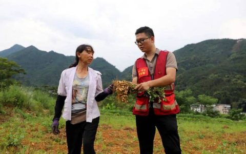 干部争当“土专家” 田间地头蹚出群众增收新路子