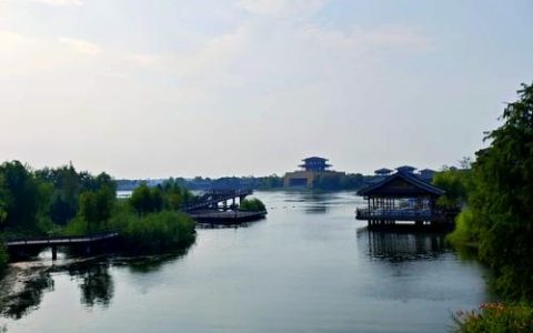 看沔商眼中的家乡仙桃，满目皆是