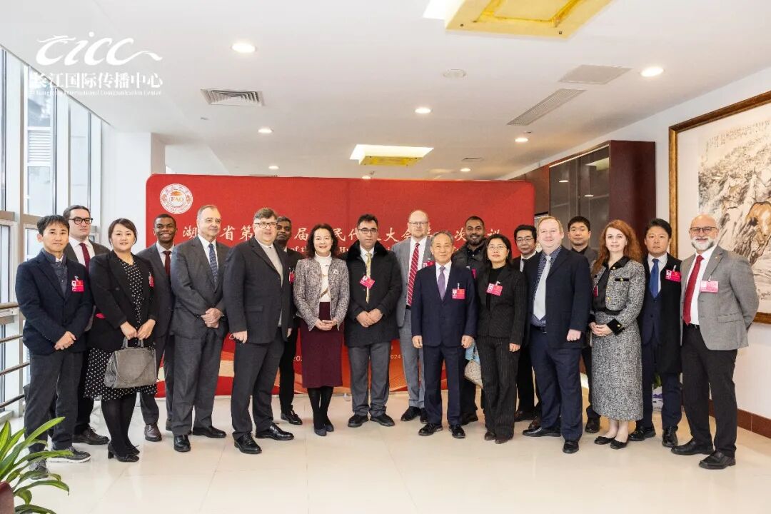 我的两会旁听证：一位俄罗斯学子观察中国的“武汉窗口”