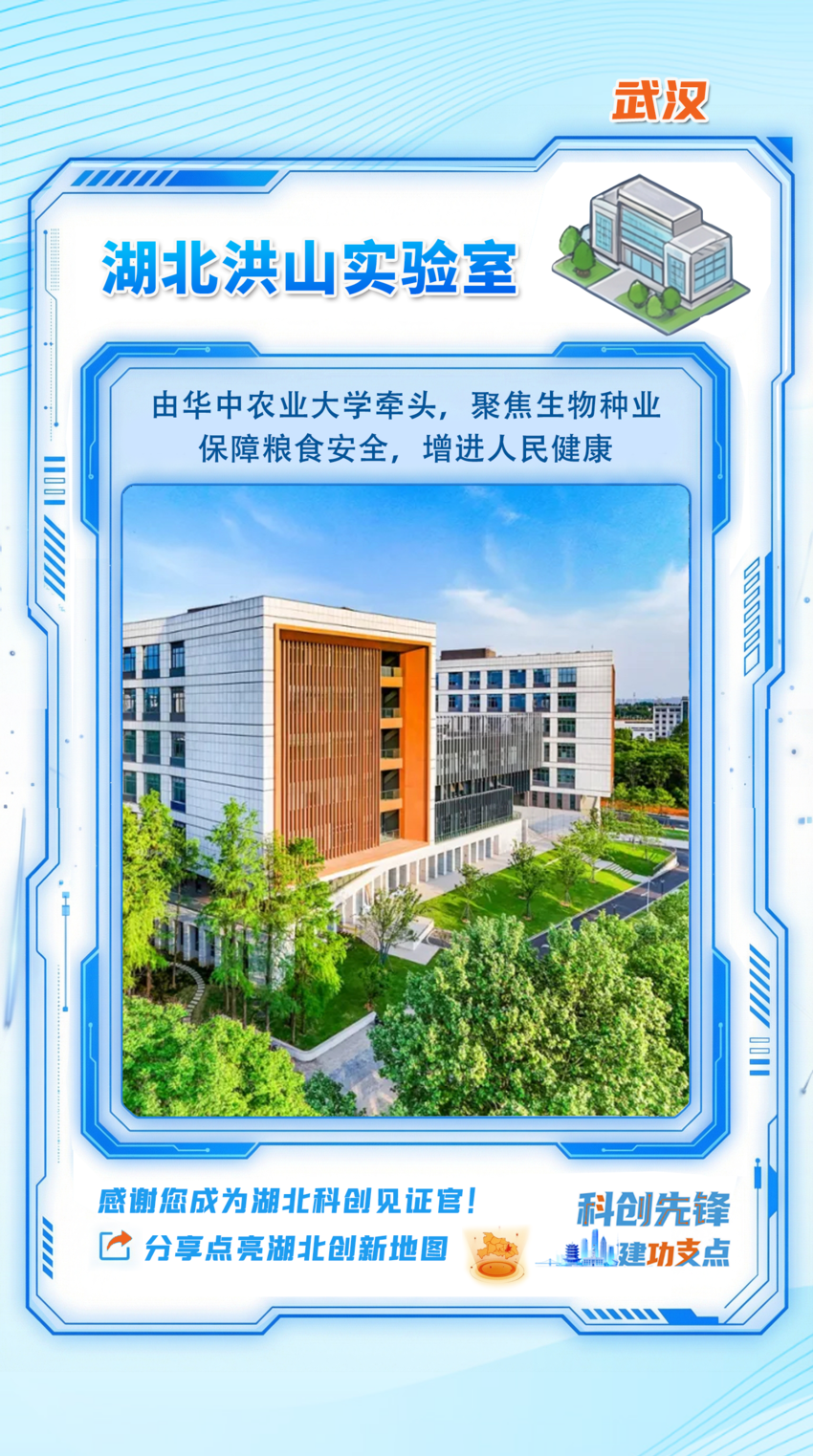 长图｜湖北创新地图 见证“鄂研鄂产”的硬核实力