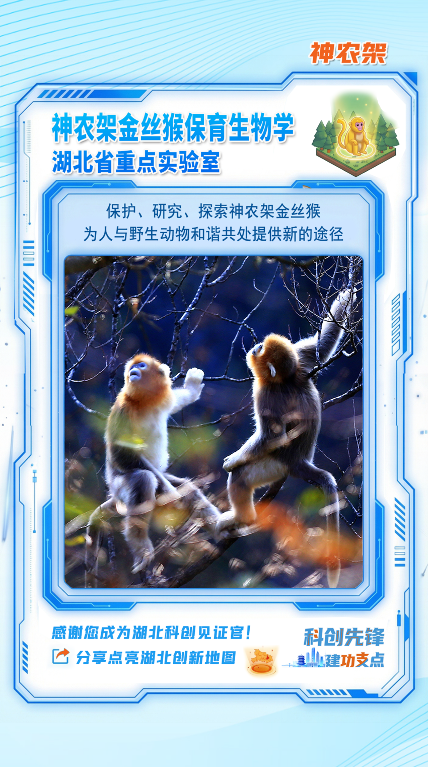 长图｜湖北创新地图 见证“鄂研鄂产”的硬核实力