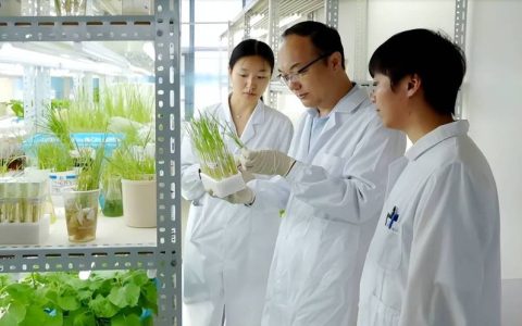 华中农业大学获2025年度教育部高等华中农业大学科学研究优秀成果奖