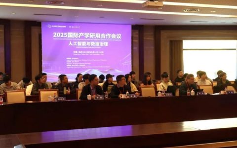 2025国际产学研用合作会议数字人文与人工智能治理分会在汉举行