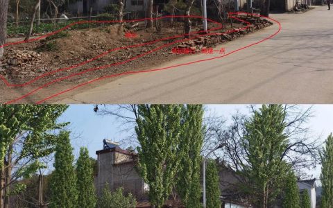 园林街道：攻坚人居环境整治 绘就生态宜居新画卷