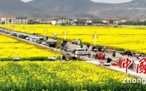 老区振兴路为先 武穴“四好农村路”的硬核答卷