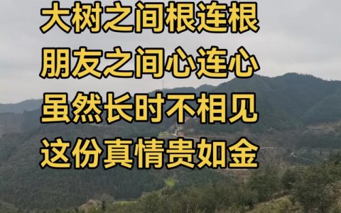 真心真情也能是“金山银山”