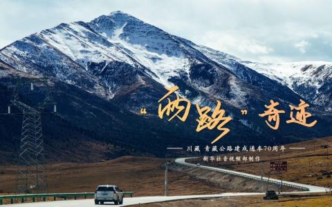 双向奔赴的道路更加通达