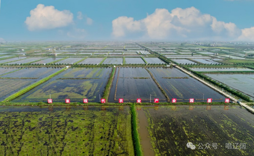 就业长在产业上