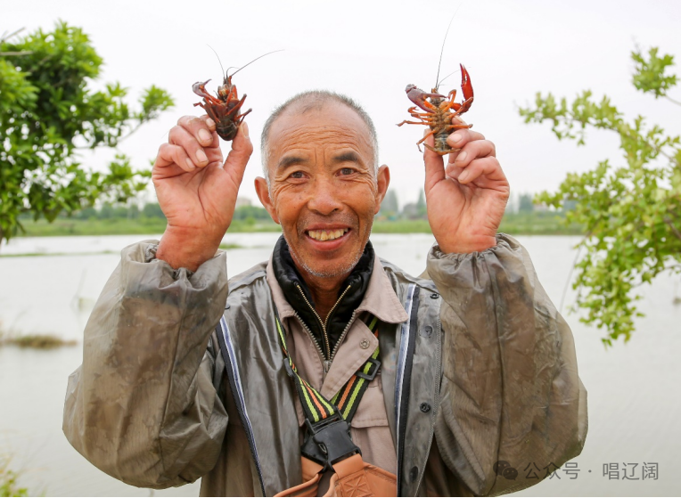 就业长在产业上