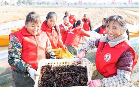 [荆楚网]2025湖北“潜江龙虾”冬季开捕