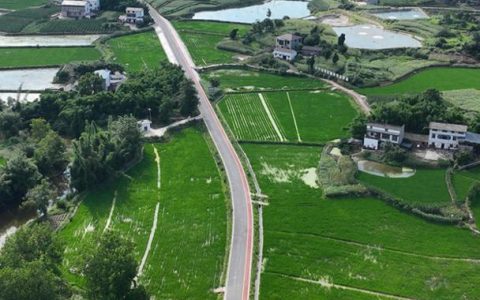 黄梅：织密乡村路网托起群众“幸福道”