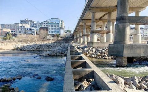 正式启用！蕲春这座大桥“亮”了