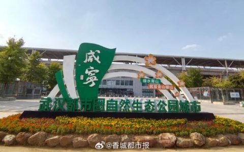 咸宁市全域“清洁家园”迎新年 百日攻坚让城乡焕新颜