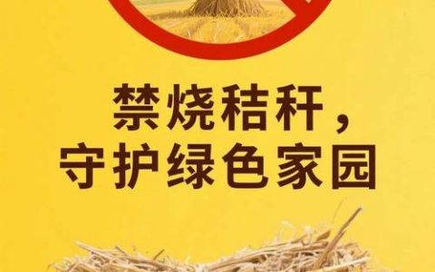 咸安区双溪桥镇三桥村秸秆分类利用　破解禁烧难题