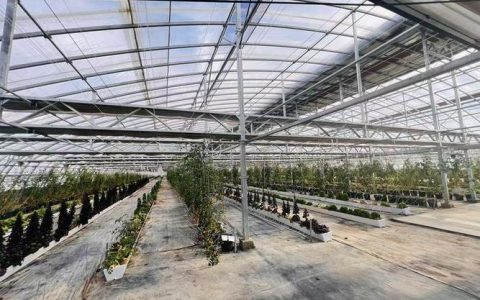 咸安区智慧农贸综合批发市场项目开工 赋能“菜篮子”工程升级