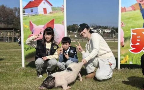 听交响、抓香猪、玩“穿越”、泡温泉 咸安解锁元旦跨年“混搭”新体验