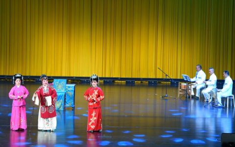 通城“非遗打锣腔·唱响古城新音”项目 荣获省级十佳称号