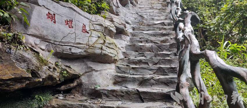 从“空心村”到“标杆村”——看狮子镇枫树榜村的华丽蜕变