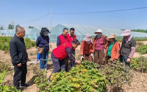 市供销社：技术送到田间 服务暖到心间