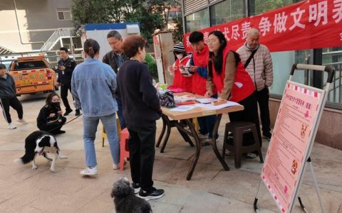 市生态环境局开展创建文明城市问卷调查与文明养犬宣传活动