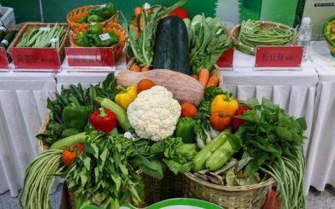 菜园子“上新”　菜篮子“添鲜”