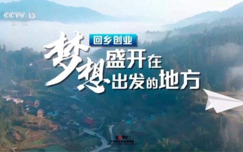 黄冈筑巢引雁激发返乡创业活力