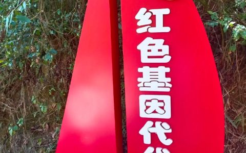 青山为证承忠魂  红色基因代代传