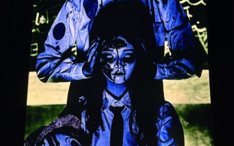 莫让“李鬼学校”坑人