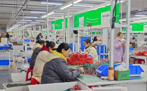 咸宁高新区入企督导安全生产