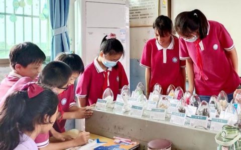 咸安向阳湖镇“平安课堂”进市场